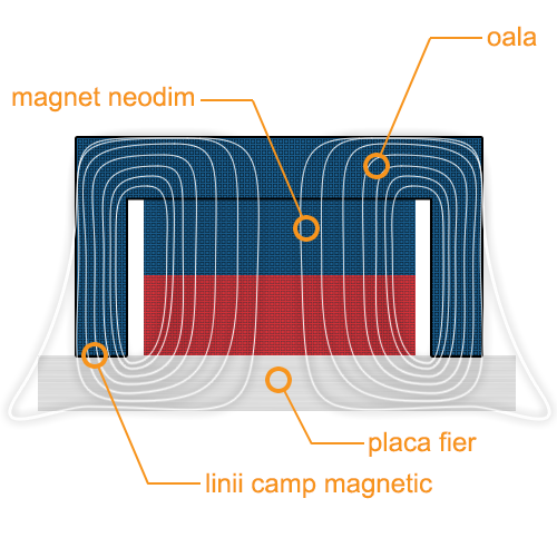 Liniile câmpului magnetic pentru un magnet oală pe placă de fier